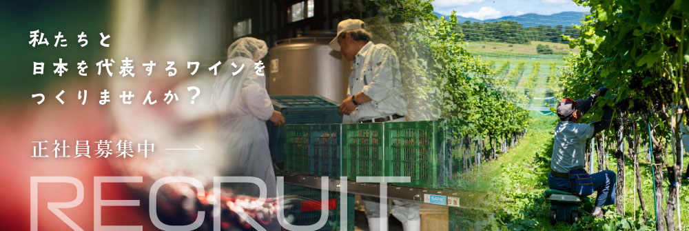 ��;���Ϥ�����