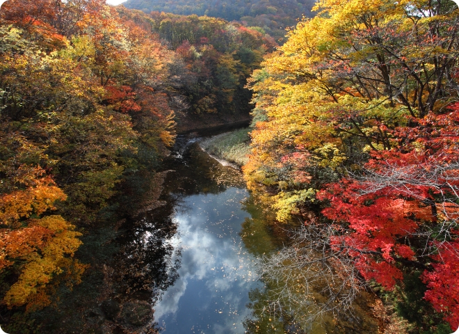 川内川渓谷の紅葉